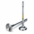 Supertech Honda B16a/18c Exhaust Racing Valve 6mm/ Inconel – Sodium Filled