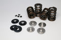 Ferrea Hi-Pressure Valve Spring Kit B Series