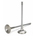 Supertech Inconel Exhaust Valve B-Series Std