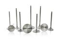 Ferrea 6000 Series Competition Valves Standard Size Honda / Acura B-Series